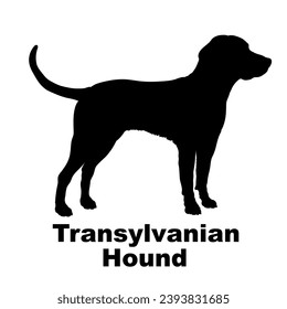 Transylvanian Hound Dog silhouette dog breeds logo dog monogram logo dog face vector