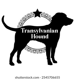 Transylvanian Hound dog silhouette, dog, dog breeds,  vector, silhouette, logo design, animal, illustration, icon, sign, black, pet