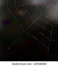Trap spider web on dark background for design web or nature concept - vector