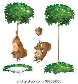 Trap for squirrels. A broken arm. Acorn. Vector illustration.