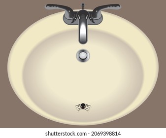 Eine gefangene Spinne versucht, aus einem Waschbecken zu kommen