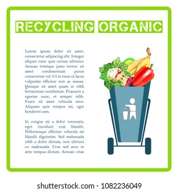 Trash bin. Waste separation. Poster and banner recycling garbage. Colorful icon. Isolated object.

