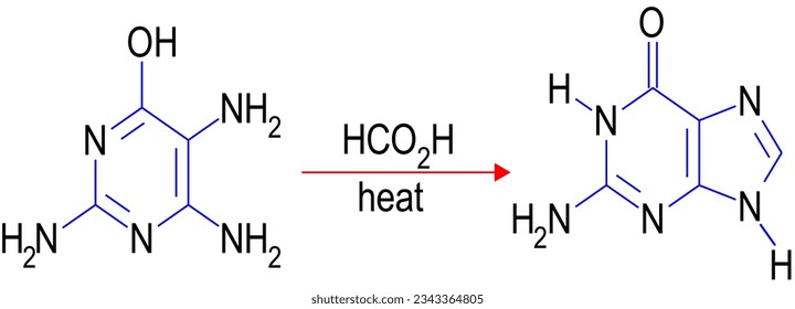 Traube purine synthesis , vector illustration