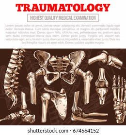 Traumatology medicine poster template. Bone and joint of human skeleton banner with hand and leg, knee, hip, foot, spine, elbow, finger, pelvis, shoulder, thorax, ankle for hospital or clinic design