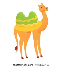 Travel camel icon. Cartoon of Travel camel vector icon for web design isolated on white background