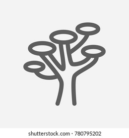 Travel city series. Symbol of country africa city icon. Isolated vector illustration of africa, tree, acacia icon for app mobile web logo UI design.