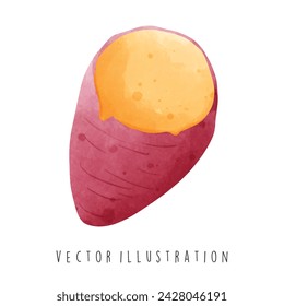 Travel Collection, South Korea, Sweet Potato.Watercolor Element Vector Illustration