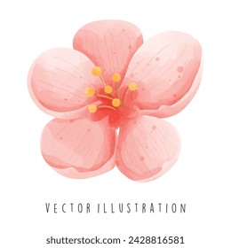 Colección de viajes, Corea del Sur, Flor de Sakura, Elemento de acuarela Ilustración vectorial