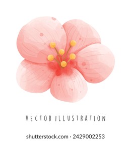 Travel Collection, South Korea,Sakura Flower, Watercolor Element Vector Illustration