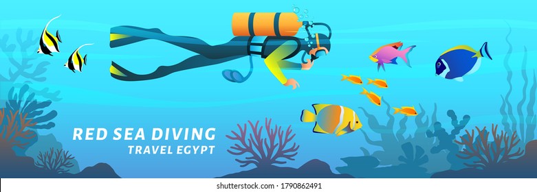 Travel Egypt cartoon banner. Red sea diving poster. Scuba diver swimming underwater among coral reef fish, vector illustration in flat style.