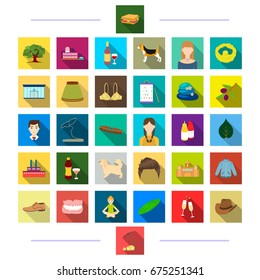 travel, entertainment, decorations and other web icon in flat style., business, animals, production, icons in set collection.