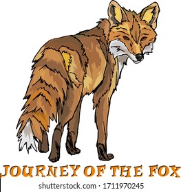 Travel Fox design element vector