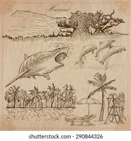 Travel: HAWAII, USA (no.6). Collection of an hand drawn vector illustrations. Freehand sketching. Each drawing comprise layers of lines. Colored background is isolated. Editable in layers and groups.