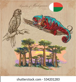 Travel MADAGASCAR. Pictures from the Nature - of one of the largest Island in the World. Vector collection. Hand drawn illustrations. Pack of freehand sketches. 