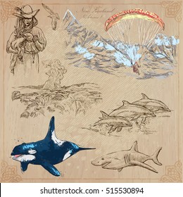 Travel NEW ZEALAND. Pictures of Life. Vector collection. Hand drawn illustrations. Pack of sketches. Set includes - Young farmer with lamb, Paragliding, pohutu geyser, Dolphins, Shark and Killer Whale