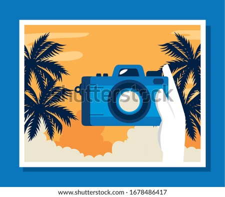 travel poster with camera and palms tree vector illustration design
