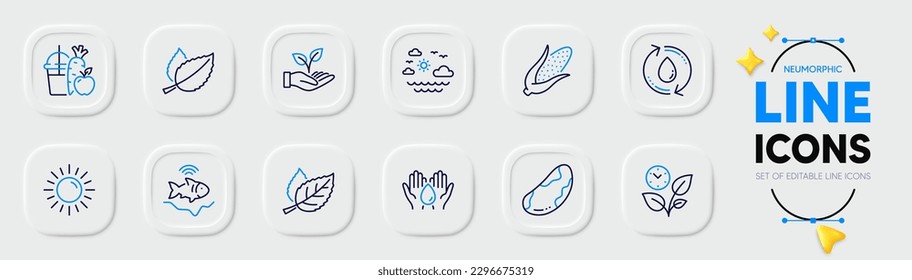Travel sea, Corn and Safe water line icons for web app. Pack of Leaf, Refill water, Helping hand pictogram icons. Sun, Fishfinder, Leaves signs. Brazil nut, Mint leaves, Juice. Summer holidays. Vector