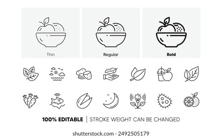 Travel sea, Fruits and Juice line icons. Pack of Fishfinder, Pistachio nut, Carrots icon. Organic tested, Orange, Leaf pictogram. Incubator, Lightweight, Moon stars. Potato, Mint leaves. Vector