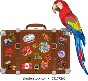 Travel suitcase and Red parrot macaw