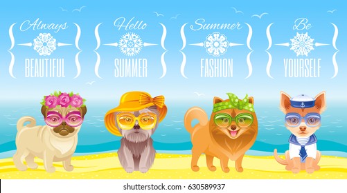 Travel Summer Fashion Puppy Dog Icon Set. Sunny Day Sea Beach Landscape. Terrier, Pomeranian Spitz, Chihuahua, Pug Breed. Hipster Cartoon Vintage Vector Illustration Isolated Poster. Text Pet Logo