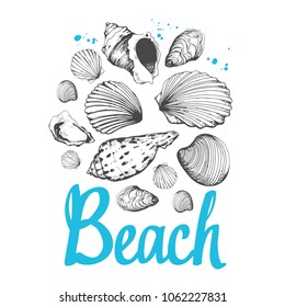 Travel vector illustration with sea shells in sketch style on pink background. Brush calligraphy elements for your design. Handwritten ink lettering.