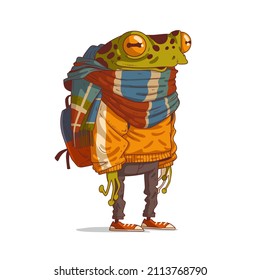 A traveler frog, vector illustration. Humanized backpacker frog ready for adventures. Calm anthropomorphic frog, with a backpack, wrapped in a large warm plaid scarf. Animal character with human body