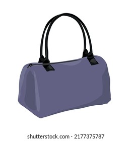 Traveler's bag on white background