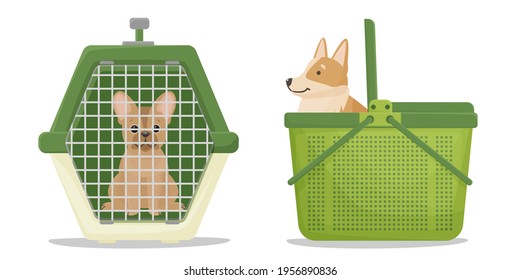 Traveling with domestic animals. French Bulldog and Corgi in different carriers. Vector illustration isolated on white background.