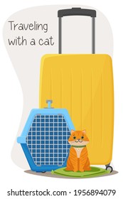 Traveling with domestic animals. Suitcase and carrier for a cat. Happy cat ​​in a bag for transportation. Vector illustration isolated on white background