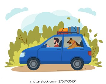 Travelling with dogs. Illustration of man riding a car with dog, carriage of dogs on car. Stock vector.