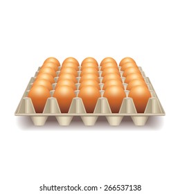 Tray with eggs isolated on white photo-realistic vector illustration