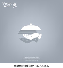 tray in hand icon. One of set web icons