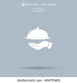 tray in hand icon. One of set web icons