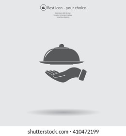 tray in hand icon. One of set web icons