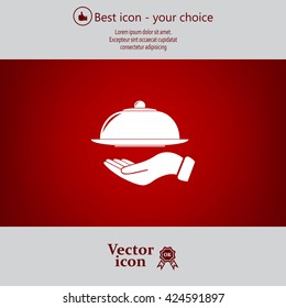 tray in hand icon. One of set web icons
