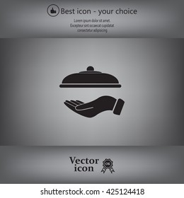 tray in hand icon. One of set web icons