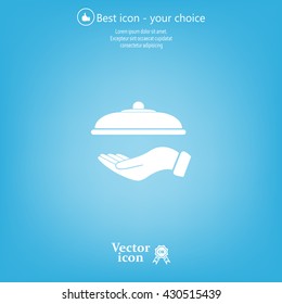 tray in hand icon. One of set web icons