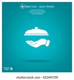 tray in hand icon. One of set web icons