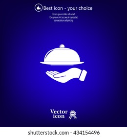 tray in hand icon. One of set web icons