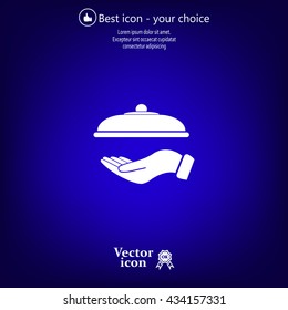 tray in hand icon. One of set web icons