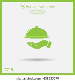 tray in hand icon. One of set web icons