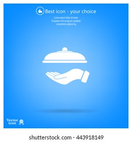 tray in hand icon. One of set web icons
