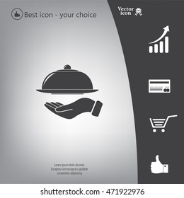tray in hand icon. One of set web icons