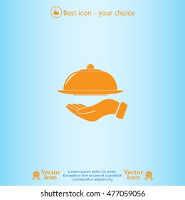 tray in hand icon. One of set web icons