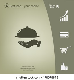 tray in hand icon. One of set web icons