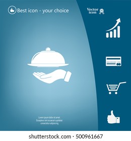 tray in hand icon. One of set web icons