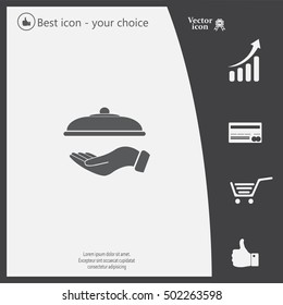 tray in hand icon. One of set web icons