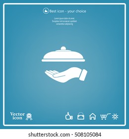 tray in hand icon. One of set web icons