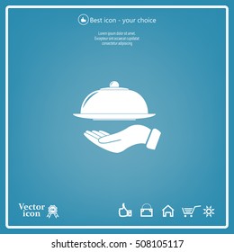 tray in hand icon. One of set web icons