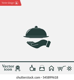 tray in hand icon. One of set web icons
